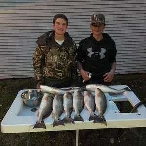 Meet your Posher, Dalton